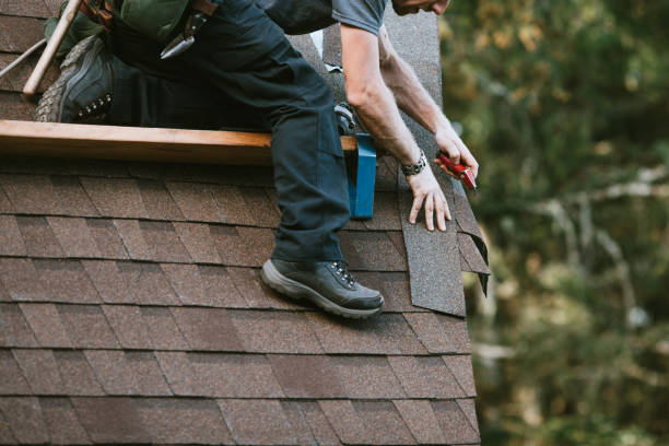 Best Roof Maintenance Services  in Archie, MO