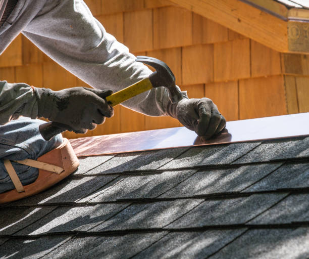 Best Roof Gutter Cleaning  in Archie, MO